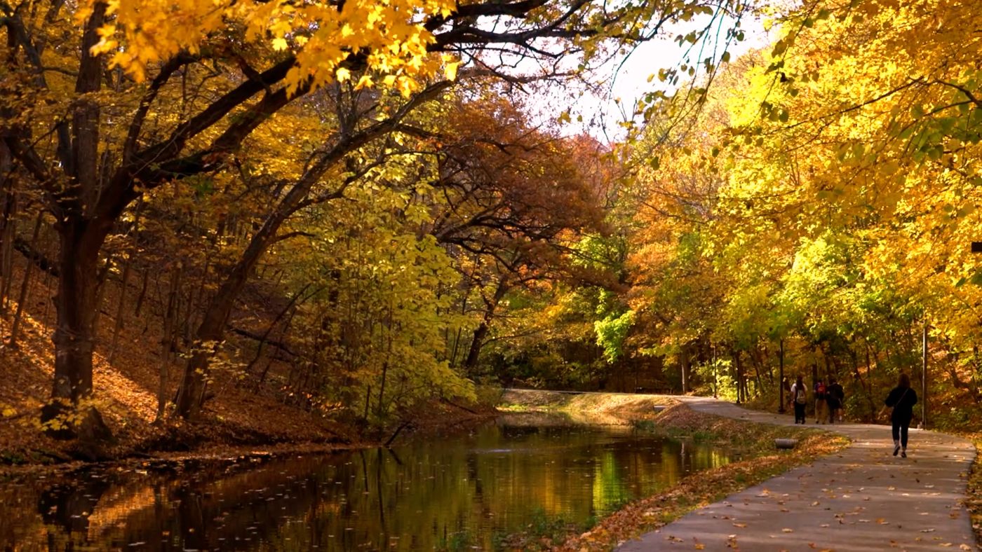 Augustana Slough, Rock Island