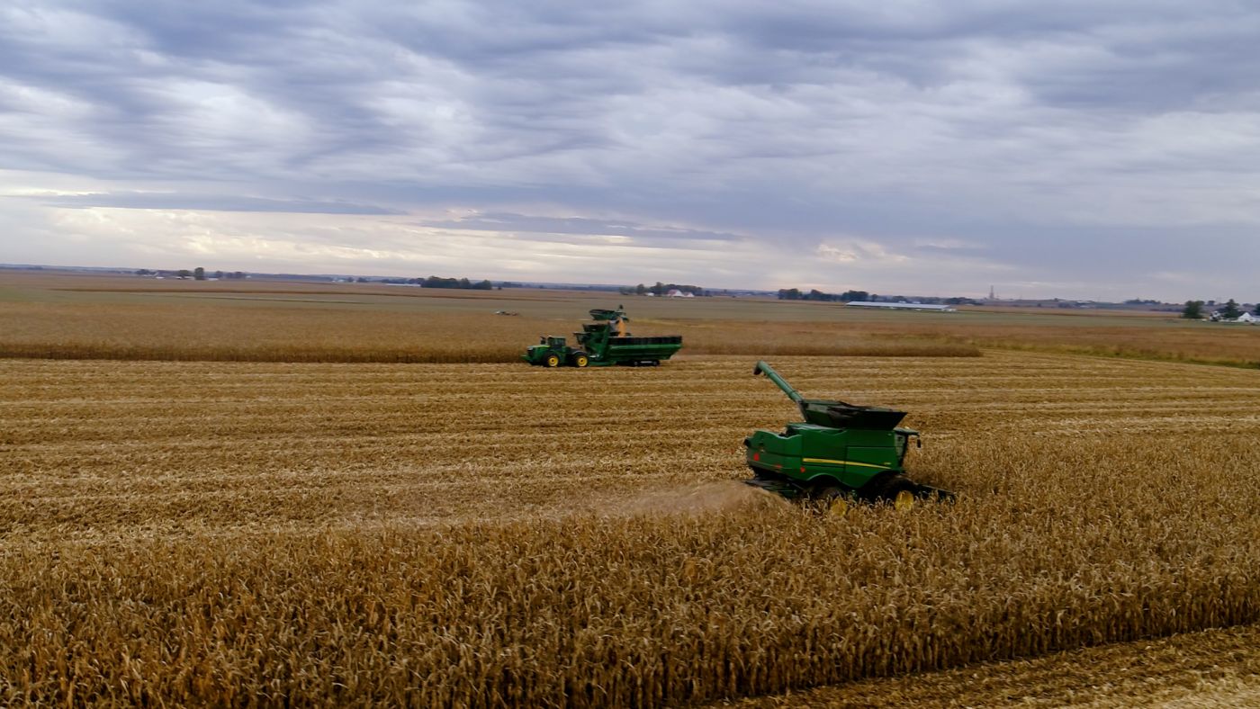 Cornfield, outside Moline